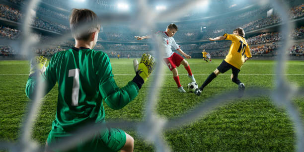 正式加入 正式加入